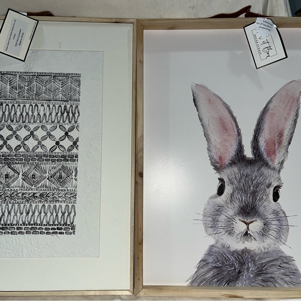 Framed Rabbit and Pattern Art Set